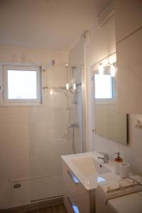 uma casa de banho branca com um lavatório e um chuveiro em Appartement Strasbourg em Estrasburgo