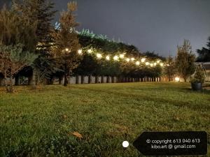 Una fila de luces en un campo por la noche en VILLA TOMILLARES, en Los Tomillares