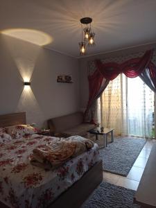 a bedroom with a bed and a couch and windows at منتجع فلورانزا 50 in Hurghada