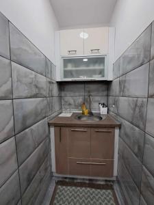 a kitchen with a sink and a microwave at Apartman Arsić Zajecar in Zaječar