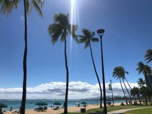 un grupo de palmeras en una playa con el océano en By the Beach Waikiki Heritage Hotel Honalulu, en Honolulu