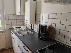 uma cozinha com um lavatório e uma bancada em Ferienwohnung im Musikerviertel em Große Mühle