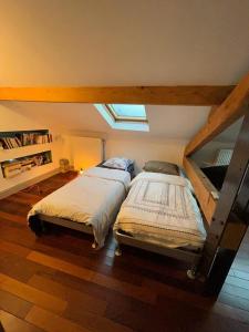 Duas camas num quarto com um sótão em Chambre privée Lyon em Lyon