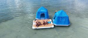Ảnh trong thư viện ảnh của Bonnethead Key Floating Campground and Private Island ở Key West