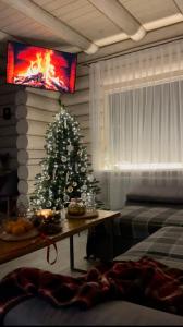 sala de estar con TV y árbol de Navidad en Чотири сезони, en Izky
