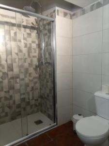 a bathroom with a shower and a toilet at Casa à Porta do Torreão in Silves