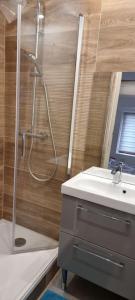 La salle de bains est pourvue d'une douche et d'un lavabo. dans l'établissement PARLEMENT 2 - 55m2 -2 CH et 2 SDE, à Rennes