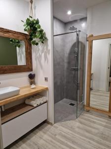 a bathroom with a glass shower and a sink at Gîte Carcasso in Carcassonne