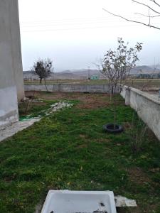 a garden with a tree in the grass at enesin evi in Kayseri
