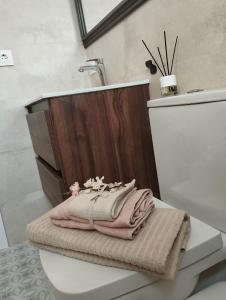 een badkamer met een handdoek op de tank van een toilet bij LA PONDEROSA BEACH in Sanlúcar de Barrameda