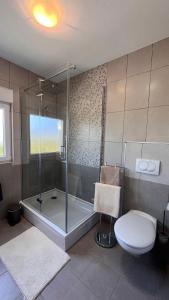 e bagno con doccia, servizi igienici e lavandino. di Villa Leandra a Vodnjan (Dignano)