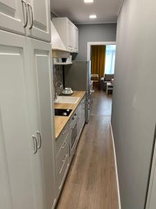 Кухня или мини-кухня в Boutique Magenta Pearl Apartment with free WiFi
