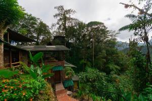 Tandayapa的住宿－Bellavista Cloud Forest Lodge & Private Protected Area，花园中的房子