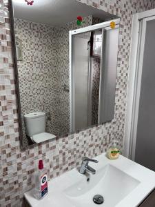 een badkamer met een wastafel en een spiegel bij Apartamentos Ruz in Córdoba
