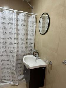 La salle de bains est pourvue d'un lavabo et d'un rideau de douche. dans l'établissement Las flores, Depto Con Cochera, à Neuquén