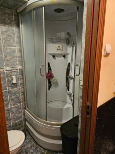 eine Dusche im Bad mit WC in der Unterkunft Cazare Bailesti in Băileşti