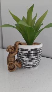 a small monkey sitting next to a potted plant at Stunning self-contained flat in house in Raynes Park