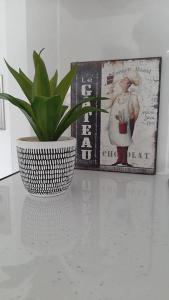 a plant in a pot on a table with a picture at Stunning self-contained flat in house in Raynes Park