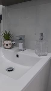 a white bathroom sink with a plant on it at Stunning self-contained flat in house in Raynes Park