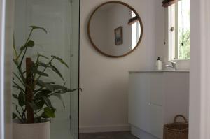 ein Bad mit einer Dusche, einem Spiegel und einer Pflanze in der Unterkunft JMP FLINDERS ACCOMODATION in Flinders