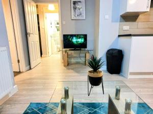 a living room with a television and a potted plant at Serviced Accommodation near London and Stansted - 2 bedrooms  in Harlow