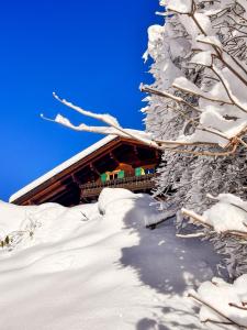 ガシュルンにあるAparthaus Biancaの木の横に雪に覆われた丸太小屋