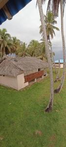 AchoertupoにあるCabaña frente al mar islas de San Blas icodubの海辺のヤシの木がある建物
