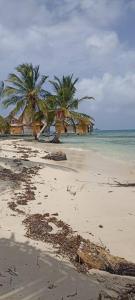 a beach with two palm trees and the ocean at Cabaña privada en las islas de Guna Yala Isla icodub in Achoertupo