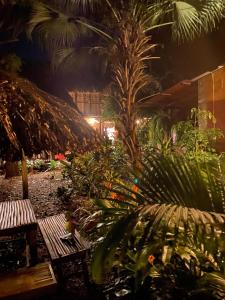 Vrt ispred objekta Hostal Zinpar