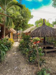 Zahrada ubytování Hostal Zinpar