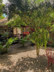 eine Bank und ein Baum vor einem Haus in der Unterkunft Casa Zinpar in Palomino