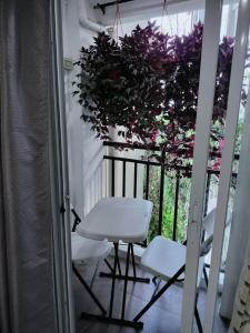 einen weißen Tisch und zwei Stühle auf dem Balkon in der Unterkunft Baguio Bliss by Burnham Hill Condominium in Baguio City