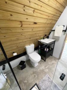 a bathroom with a toilet and a wooden wall at Chalé Panorama in Munhoz