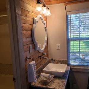 a bathroom with a sink and a mirror at Lake Front cottage in Little Elm