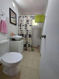 a bathroom with a toilet and a sink at Cabaña 4 a 5 Pers Los Ángeles in San Carlos de Purén