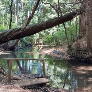 Fotografie z fotogalerie ubytování Cabaña en campo 4 Personas Los Ángeles v destinaci San Carlos de Purén
