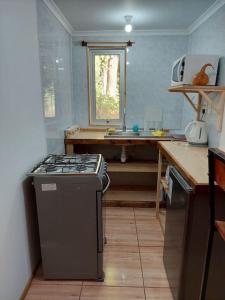 a small kitchen with a stove and a sink at Cabaña 4 a 5 Pers Los Ángeles in San Carlos de Purén