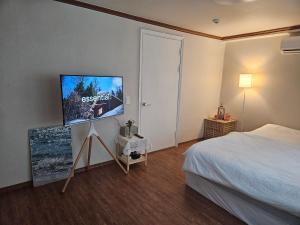 首爾的住宿－Lotus Stay，一间卧室配有一张床和一台平面电视