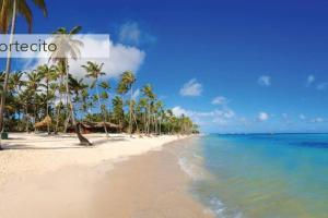 una playa con palmeras y el océano en Charming 2 Bedroom Apartment with Pool, en Punta Cana