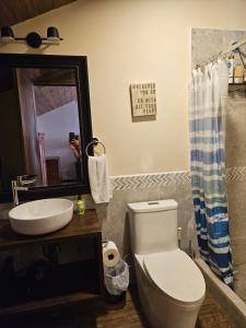 a bathroom with a toilet and a sink and a mirror at Loft Candelaria Pacaya in Antigua Guatemala