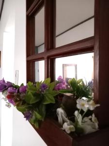 Foto dalla galleria di Chavenogue Hotel a San Juan