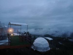Příroda nedaleko luxury tent