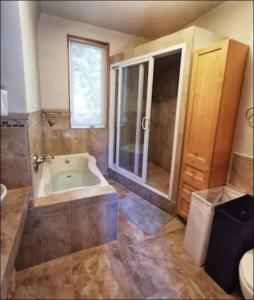 a bathroom with a tub and a shower and a window at Waterfront Cottage in Lion's Head in Stokes Bay