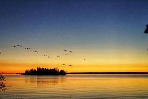 Foto dalla galleria di Waterfront Cottage in Lion's Head a Stokes Bay Altre 10 foto