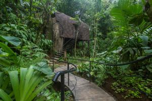 Vườn quanh Sacred Beji by GenuineHost +19 ảnh