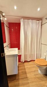 bagno con servizi igienici e lavandino di Tuca - Cozy Duplex with Private Parking Betren - Vielha a Vielha