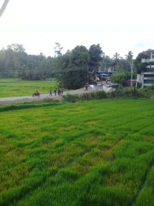 ภาพในคลังภาพของ BREAK POINT ในPalatuwa