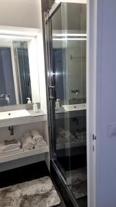 La salle de bains est pourvue d'une douche, d'un lavabo et d'un miroir. dans l'établissement Appart'Chic, à Paris