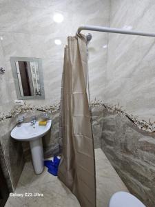 bagno con doccia e lavandino di My Sweet Home In Rustavi city 5 a Rustavi