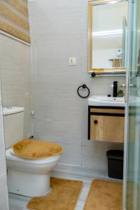 a bathroom with a toilet and a sink and a mirror at BryMac Hotel in Koforidua